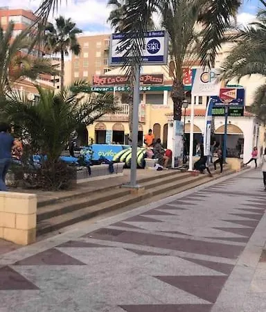 Adri 阿勒纳勒斯德尔索尔